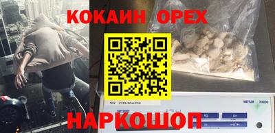 гидропоника Кингисепп