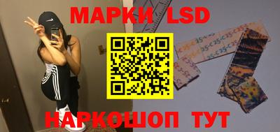 гидропоника Кингисепп