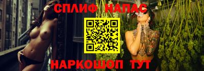 гидропоника Кингисепп
