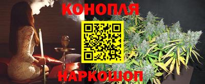 гидропоника Кингисепп