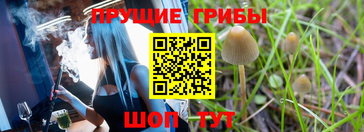 Псилоцибиновые грибы Cubensis  Вход с VPN  Ирбит 